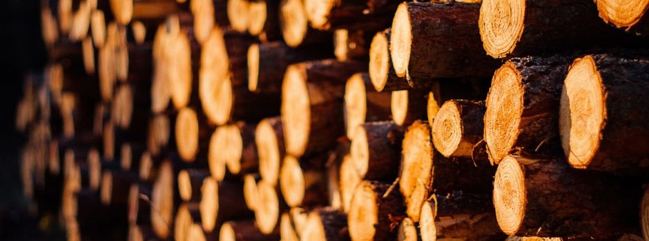 Holzverlosung findet nicht statt!