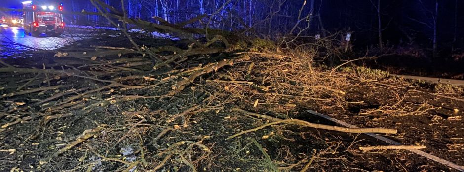 Sturm in Wiesbaden: B54 gesperrt