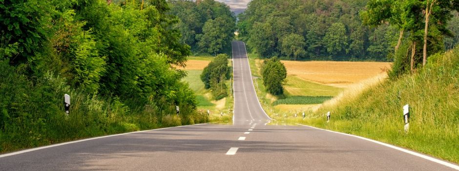 Rodungen in und um Worms: Verkehrsbehinderungen angekündigt
