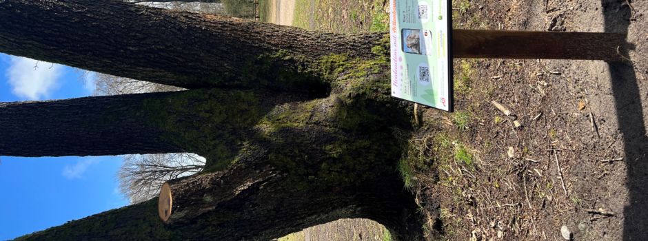 „Heideaction“ in Bispingen: Altbekannte Schnitzeljagd erhält ein „Update“