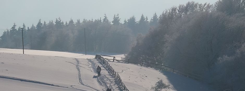 Christbaumbasar in Gommerscheid