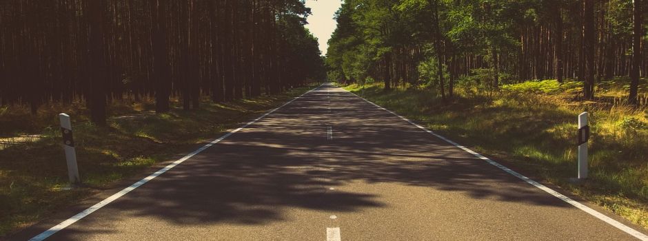 Schlangenlinien auf L409: Polizei Alzey sucht Zeugen und gefährdete Autofahrer