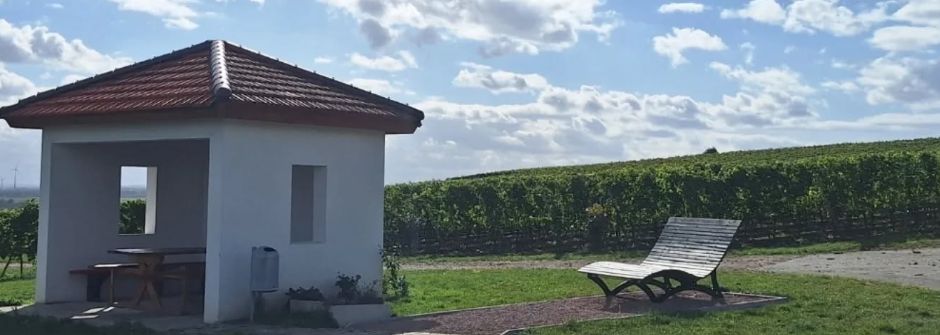 Fest am Wingertshäuschen: Mommenheimer Winzer laden zur Einweihung