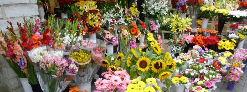 5 Blumenläden für Muttertag