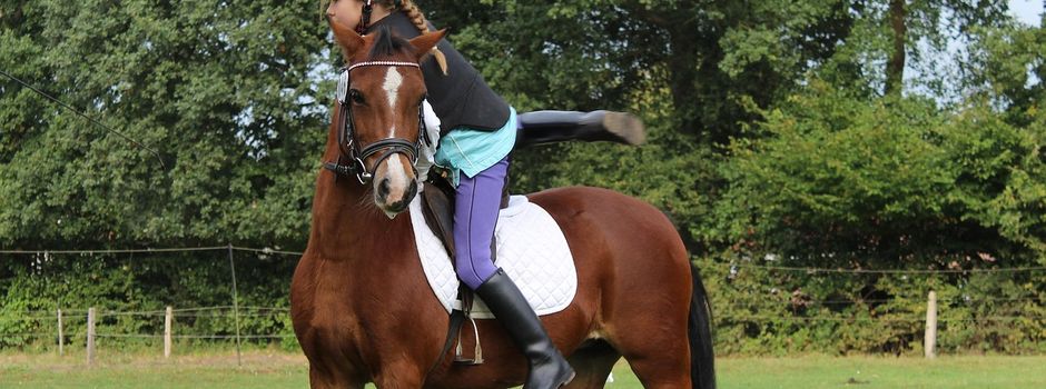 Stadtrat von Güsten gibt grünes Licht für Erweiterung „Reitsportanlage Schweizerhof“