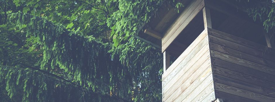 Druckjagd am 29. November in Alpenrod