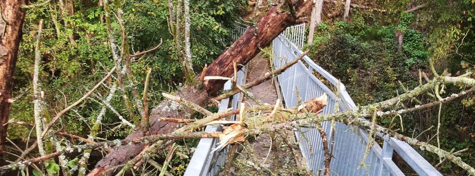 Sturmschäden am Steg Haßloch