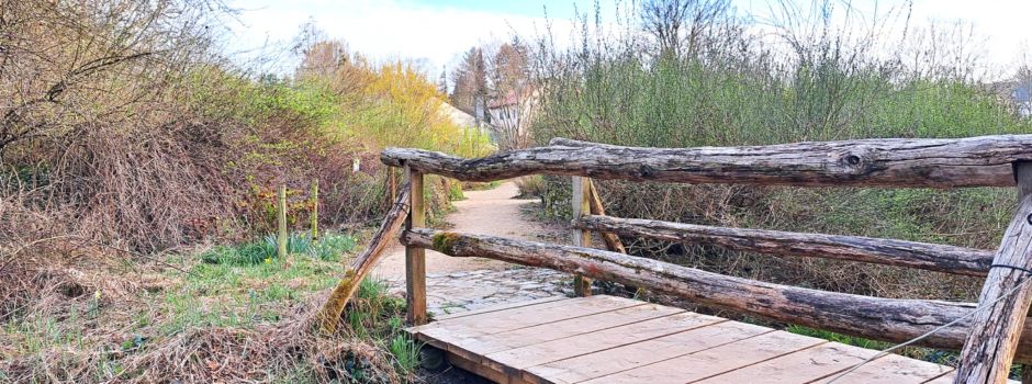 Versteckte Orte: Ein öffentlicher Garten für seltene Pflanzen mitten in Mainz