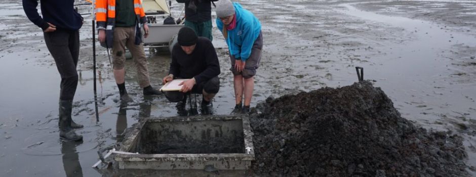 Sensationsfund: Mainzer Forscher entdecken versunkene Kirche