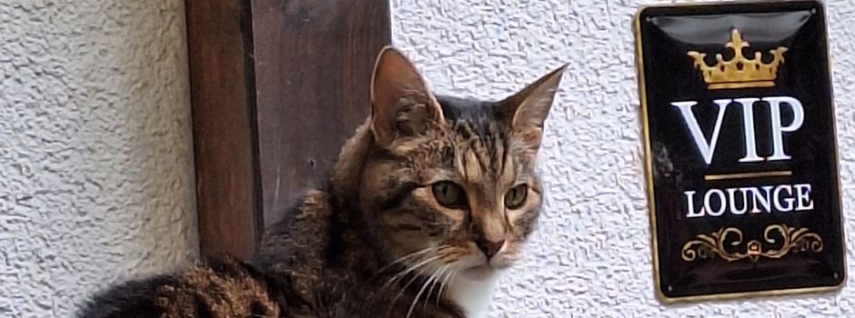 Wenn nicht nur VIPs betreut werden