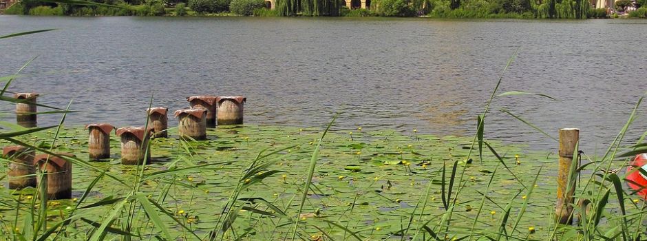 Schwerin - Veranstaltungsplan 11.KW