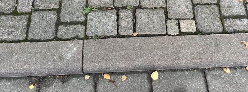 2 Stunden Ortsbegehung