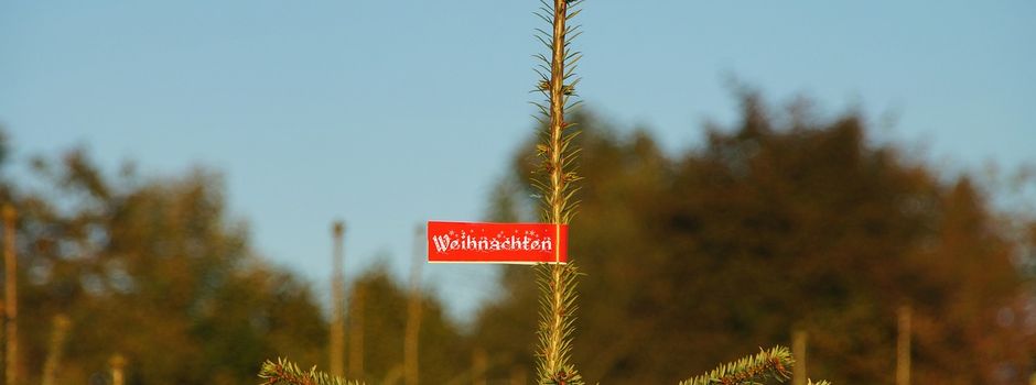 Weihnachtsbaumverkauf