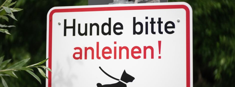 Leinenpflicht zum Schutz der Wildtiere und Vögel