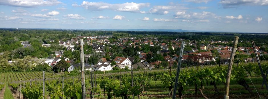 Laubenheim wird 1250 Jahre alt