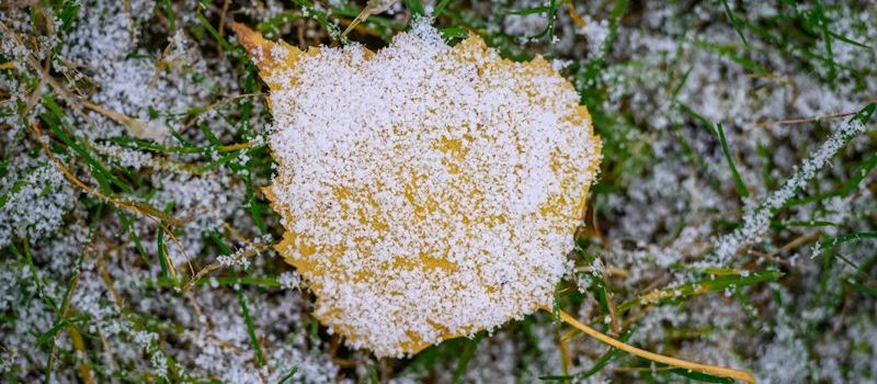 Weiße Weihnacht rund um Koblenz? Das sagt der Deutsche Wetterdienst