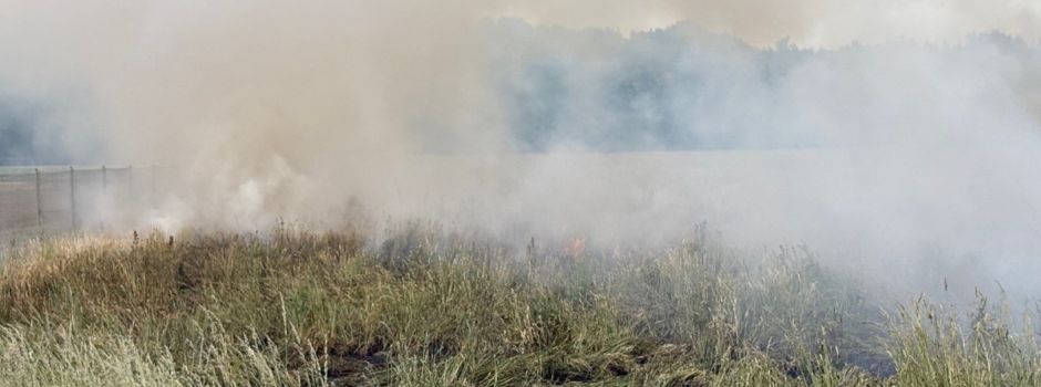 Silvesterraketen setzen Feld in Limburgerhof in Brand