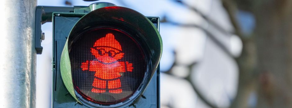 Fahrt über rote Ampeln: Werden Radfahrer in Mainz zu selten kontrolliert?