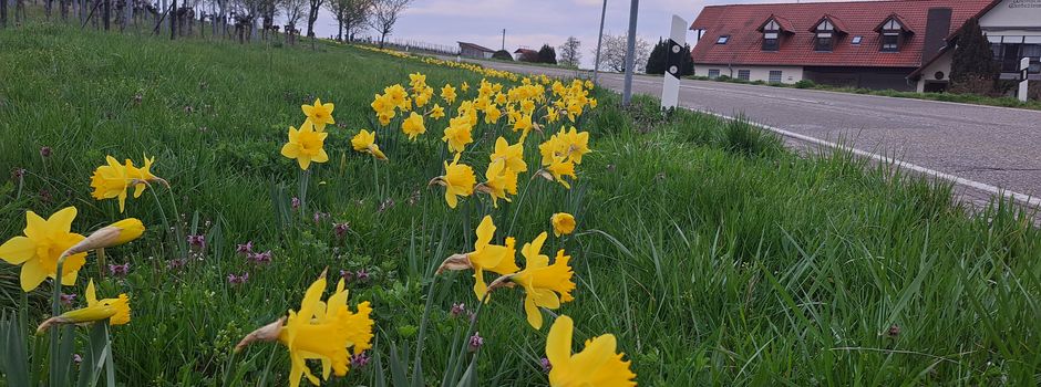 Frohe Ostern!