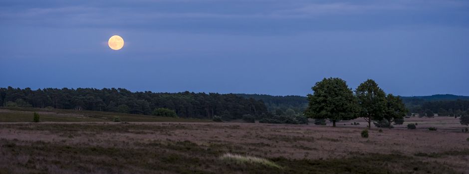 Mystik unter Vollmond