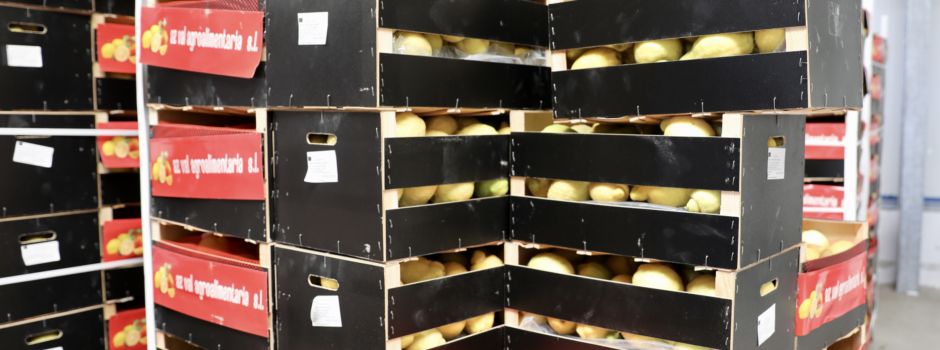 Eine Tonne Drogen in Zitronenkisten nach Wiesbaden geliefert