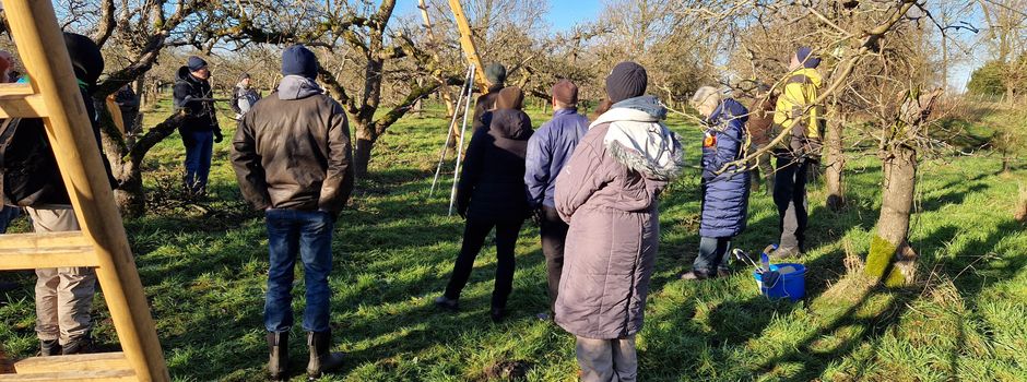 Zweitägige Obstbaumschnittkurse für Anfänger und Fortgeschrittene