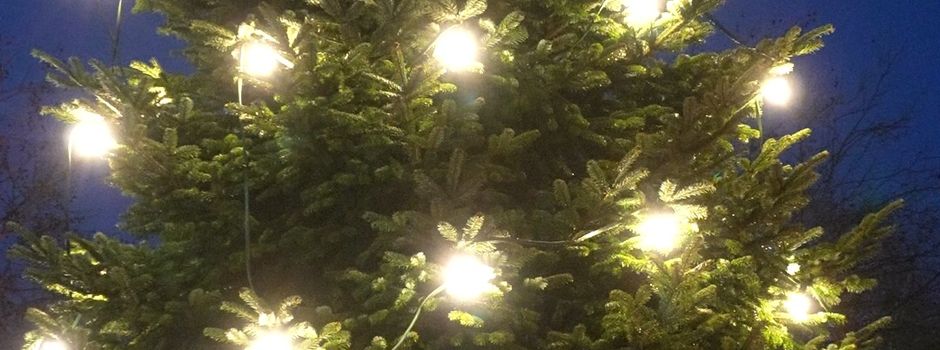 🎄 Jahresrückblick 2025 & Weihnachtsgruß aus Emstek