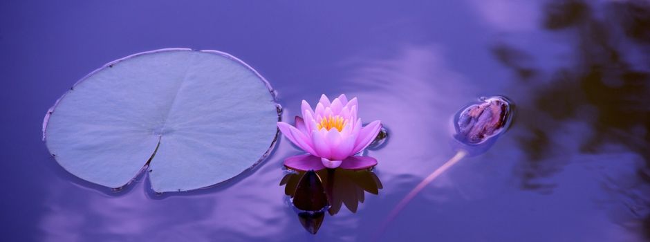 Meditation & Entspannung,        kostenfreie Schnupper-Abende