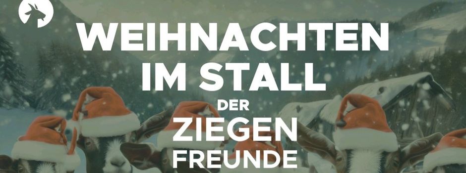 Weihnachten im Stall