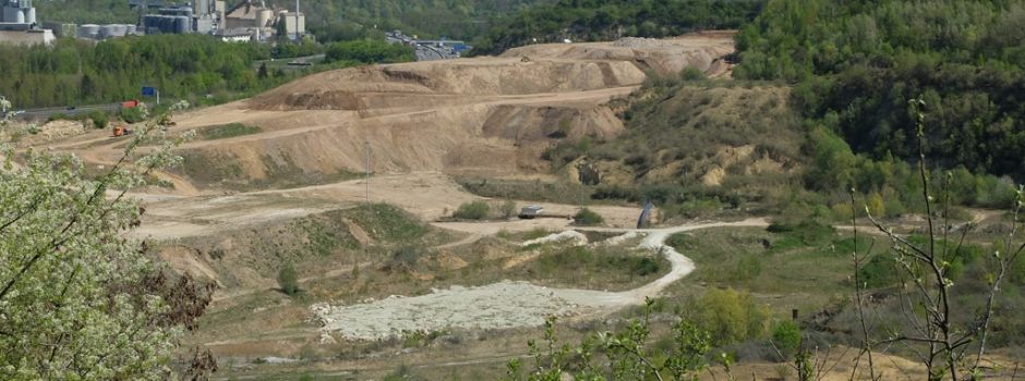 Doch keine Deponie im Mainzer Steinbruch