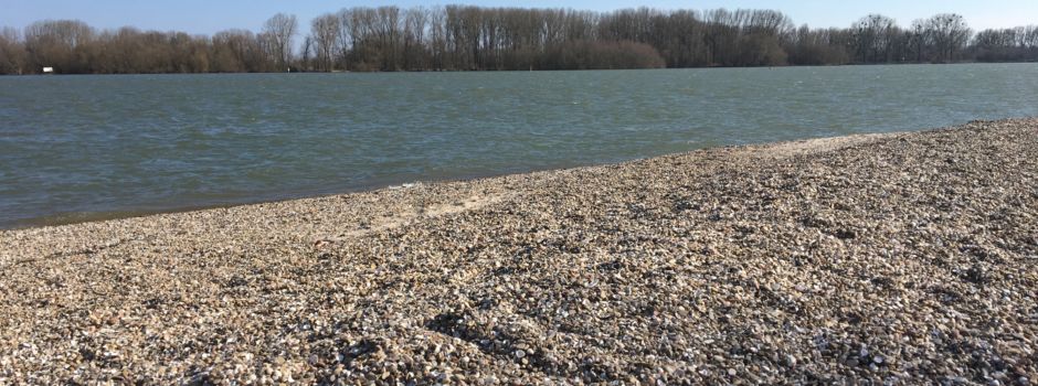 Strandbad Oppenheim: Zufahrtsbeschränkungen auch am 4. und 5. August