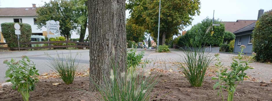 Verkehrsinseln am Ortseingang bepflanzt