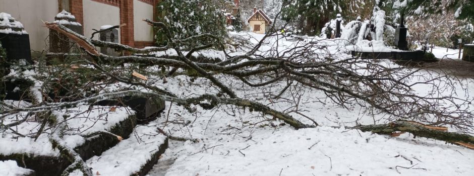 Wegen Schneebruchgefahr: Weiterhin Sperrungen in Wiesbaden