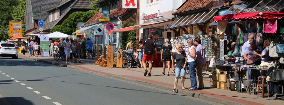 Bürgerbus-Konzept für Bispingen