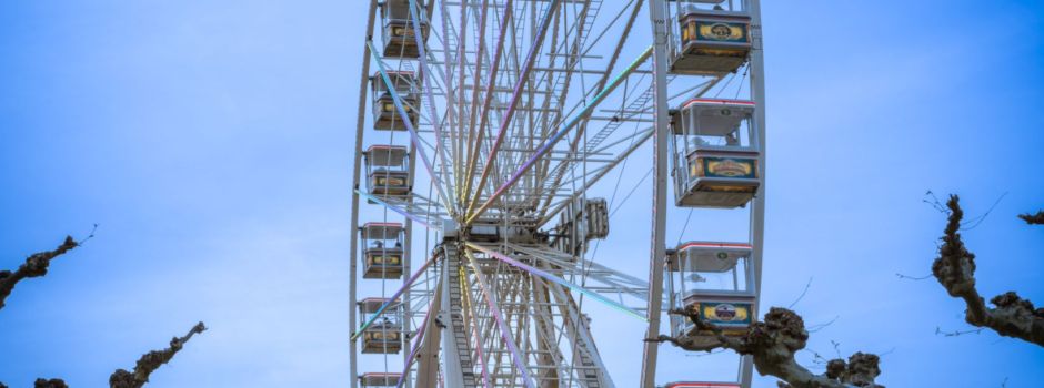 Mainzer Rhein-Frühling in Gefahr