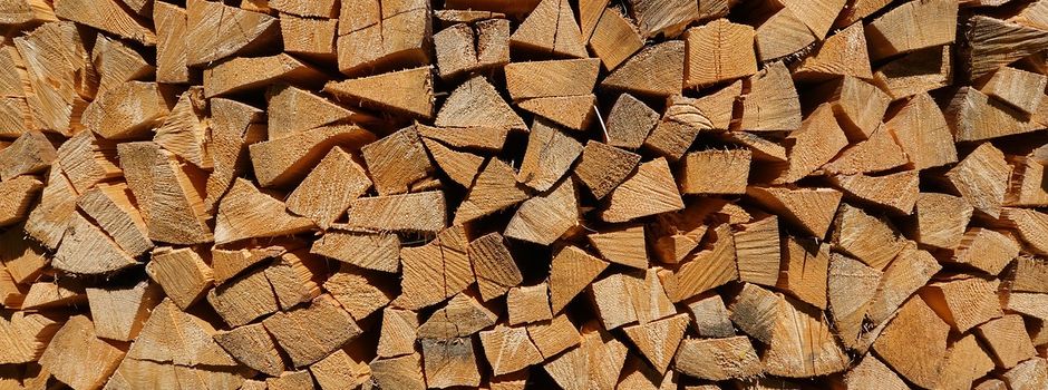 Brennholz für den Eigenbedarf 2026