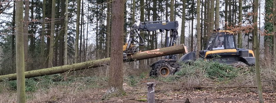 News zur neuen Sportanlage⚽️