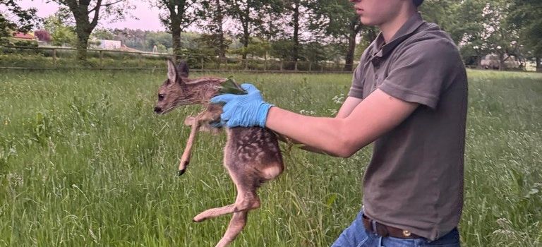 Gemeinsam für unsere Wildtiere – Ein starkes Jahr der Kitzrettung