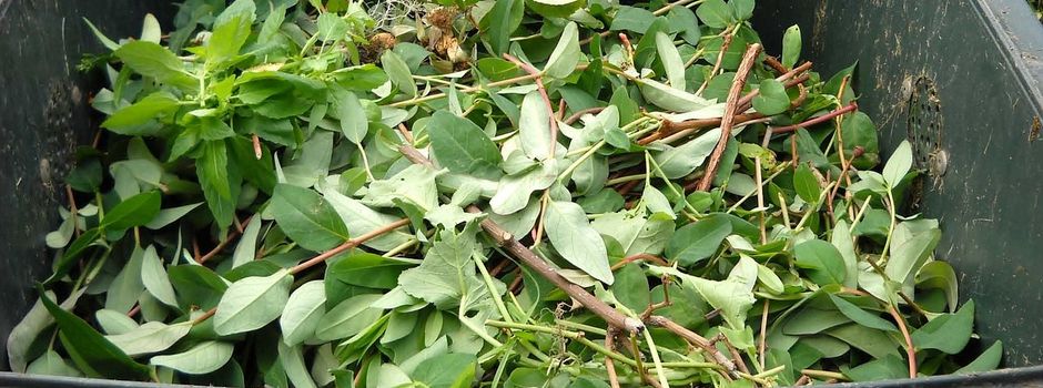 Neue Astplatz-Regelung in Heimborn