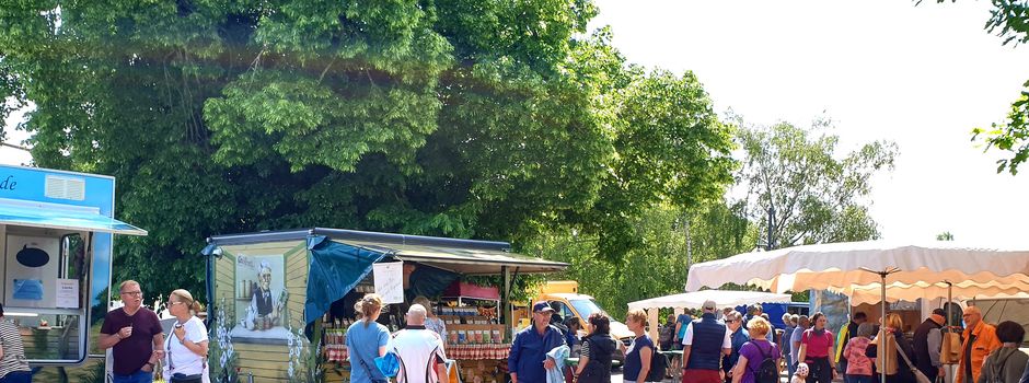 Bio- und Regionalmarkt vor der Darßer Arche