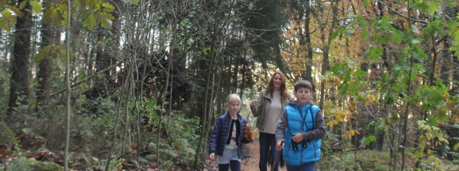 Gästeführung am 01.08.: Waldspaziergang 