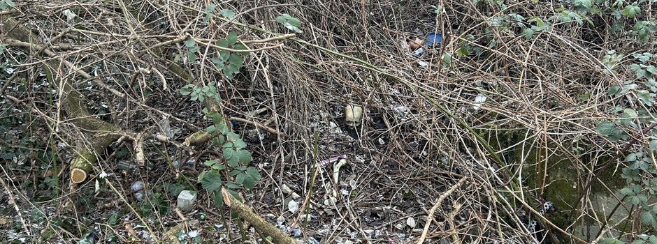 Kinder finden Schädel in Worms: Mainzer Polizei identifiziert vermissten Mann