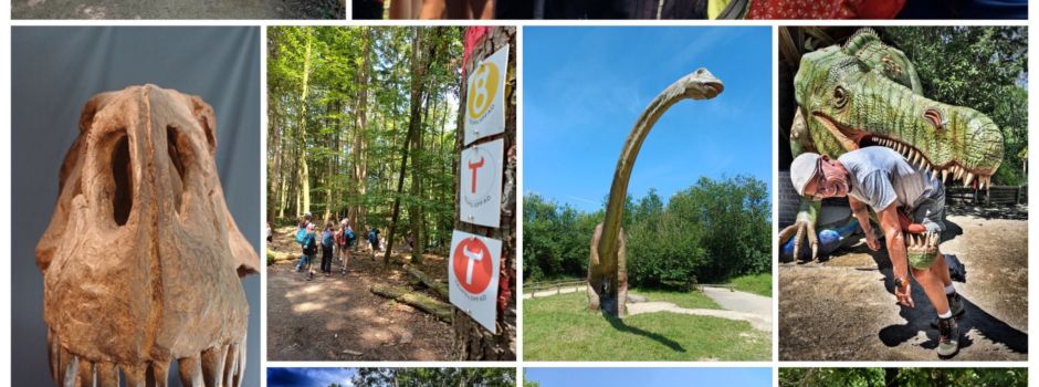 Erlebniswochen der Jugendpflege erfolgreich gestartet