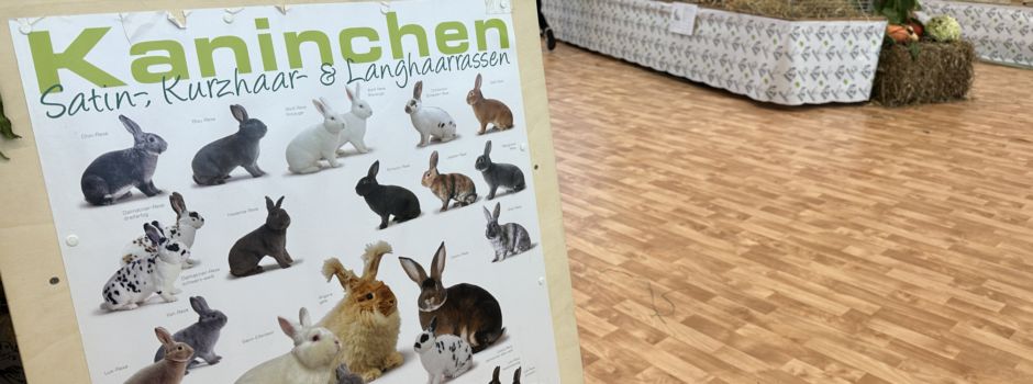 Kaninchenausstellung am 26. und 27. Oktober 2024 in Herzebrock