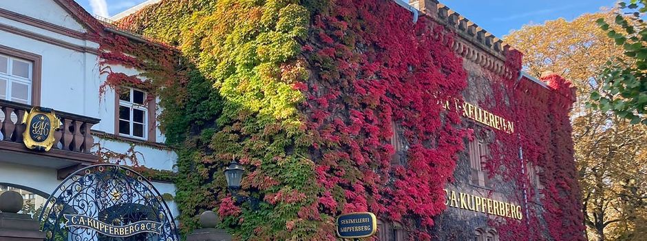 Kommt der goldene Herbst? So wird das Wetter in den kommenden Wochen