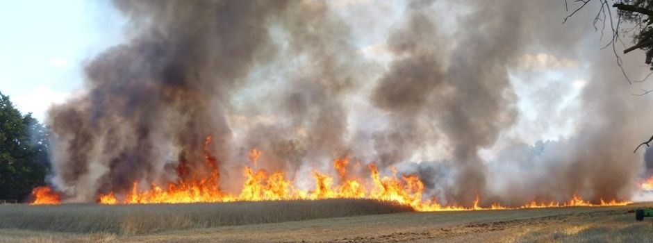 Brandgefahr durch anhaltende Trockenheit