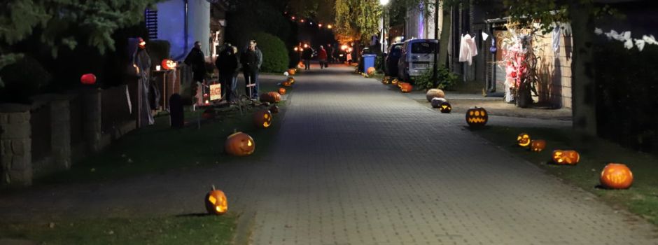 Kürbisse für Halloweenfest gesucht