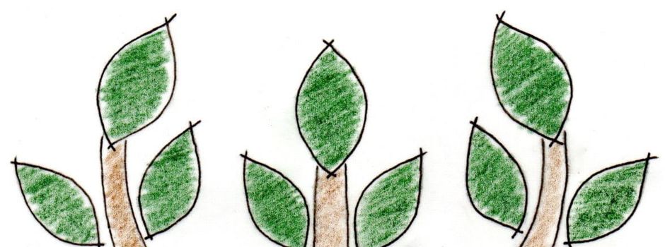 Ferienprogramm des OGV