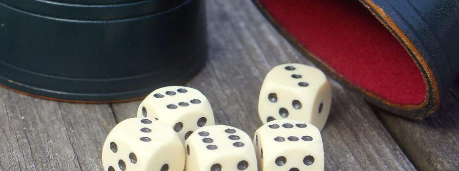 "Maxen" der Würfelspaß für jeden