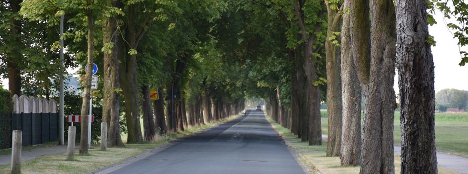 Kastanienallee Brocker Straße